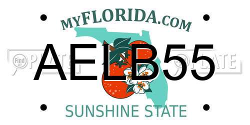 AELB55 Florida License Plate