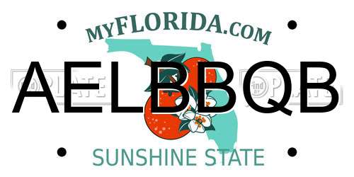 AELBBQB Florida License Plate