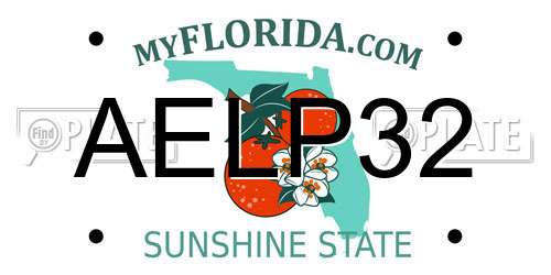 AELP32 Florida License Plate