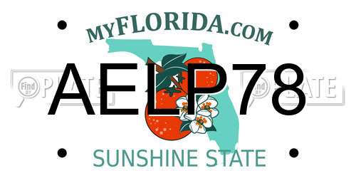 AELP78 Florida License Plate