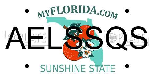 AELSSQS Florida License Plate