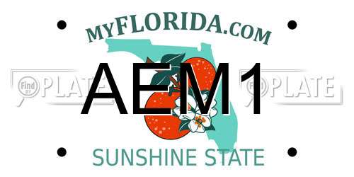AEM1 Florida License Plate