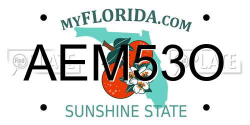 AEM53O Florida License Plate