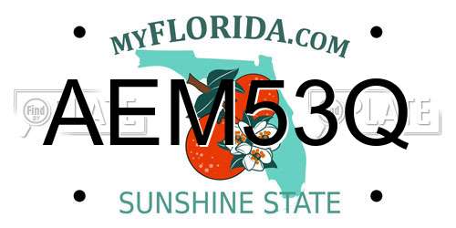 AEM53Q Florida License Plate