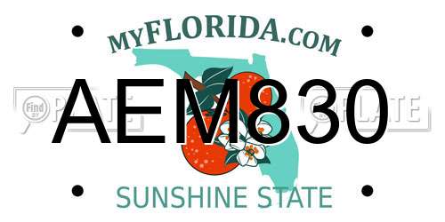 AEM830 Florida License Plate