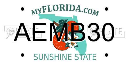 AEMB30 Florida License Plate
