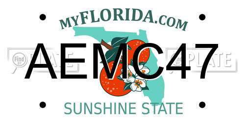 AEMC47 Florida License Plate