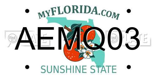 AEMQ03 Florida License Plate