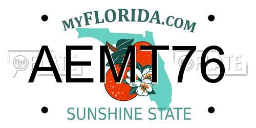 AEMT76 Florida License Plate