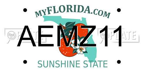 AEMZ11 Florida License Plate