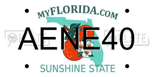 AENE40 Florida License Plate
