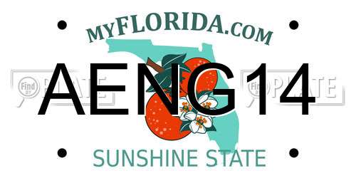 AENG14 Florida License Plate