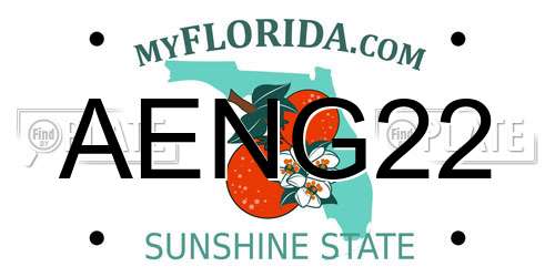 AENG22 Florida License Plate