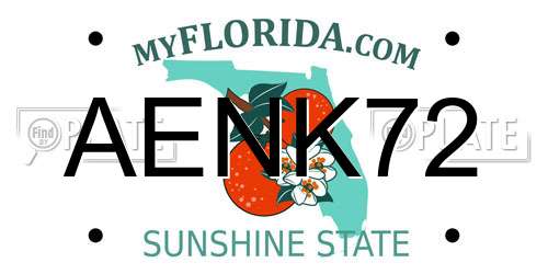 AENK72 Florida License Plate
