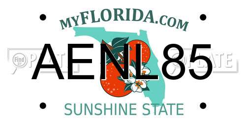 AENL85 Florida License Plate