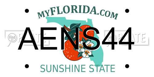 AENS44 Florida License Plate