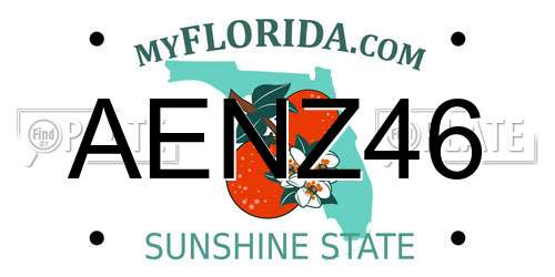 AENZ46 Florida License Plate