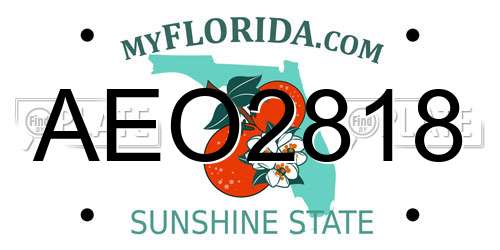 AEO2818 Florida License Plate