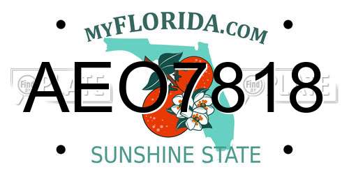 AEO7818 Florida License Plate