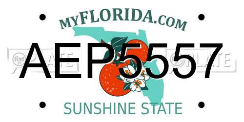 AEP5557 Florida License Plate