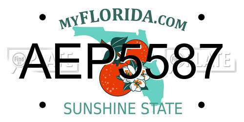 AEP5587 Florida License Plate
