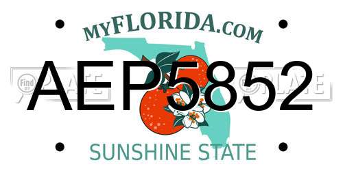 AEP5852 Florida License Plate