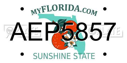 AEP5857 Florida License Plate