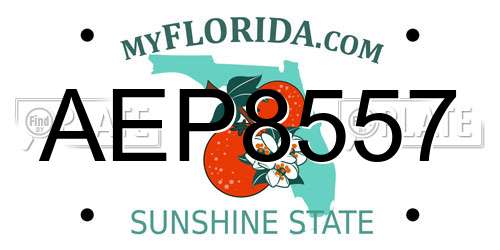 AEP8557 Florida License Plate