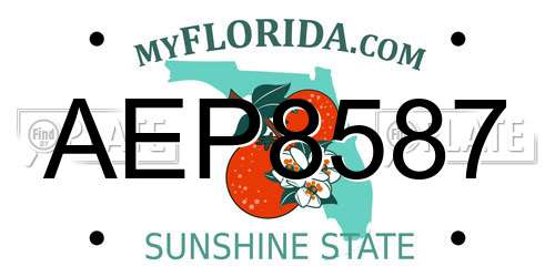 AEP8587 Florida License Plate