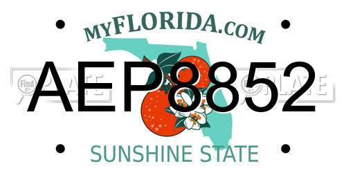 AEP8852 Florida License Plate
