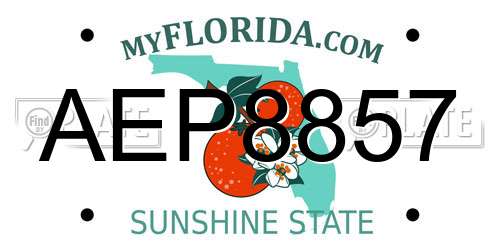 AEP8857 Florida License Plate