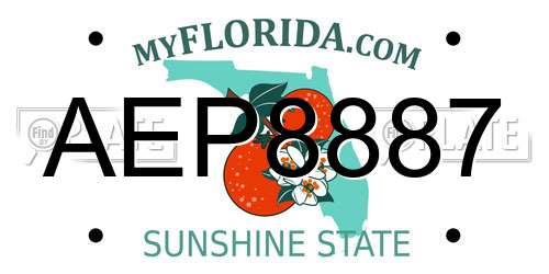 AEP8887 Florida License Plate