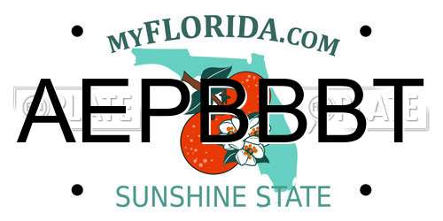 AEPBBBT Florida License Plate