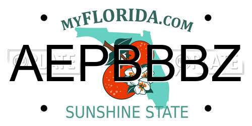AEPBBBZ Florida License Plate