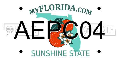 AEPC04 Florida License Plate
