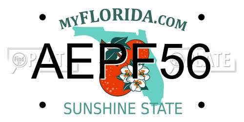 AEPF56 Florida License Plate