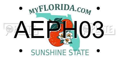 AEPH03 Florida License Plate