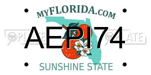 AEPI74 Florida License Plate