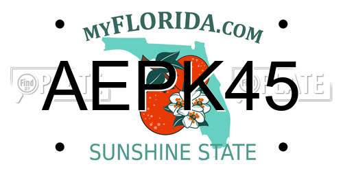 AEPK45 Florida License Plate