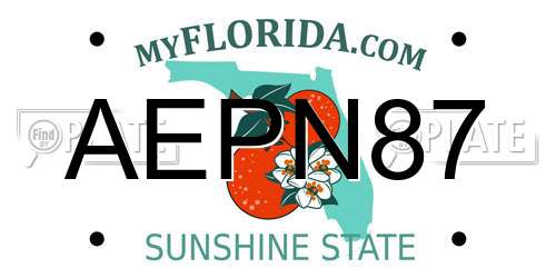 AEPN87 Florida License Plate