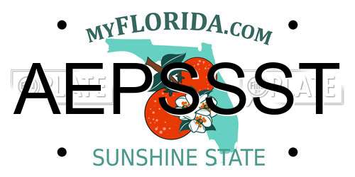 AEPSSST Florida License Plate