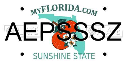 AEPSSSZ Florida License Plate