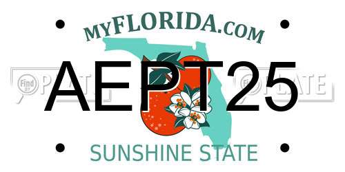 AEPT25 Florida License Plate
