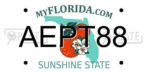 AEPT88 Florida License Plate
