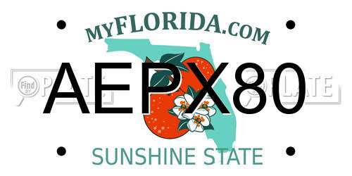 AEPX80 Florida License Plate
