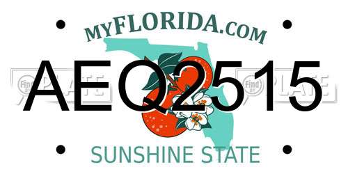 AEQ2515 Florida License Plate
