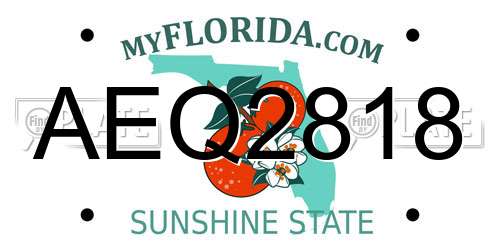 AEQ2818 Florida License Plate