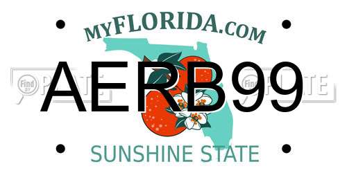 AERB99 Florida License Plate