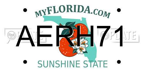 AERH71 Florida License Plate