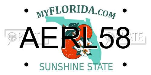 AERL58 Florida License Plate